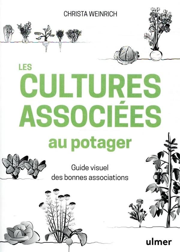 Les cultures associées au potager : Guide visuel des bonnes associations