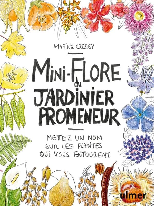 Mini-flore du jardinier promeneur : mettez un nom sur les plantes qui vous entourent