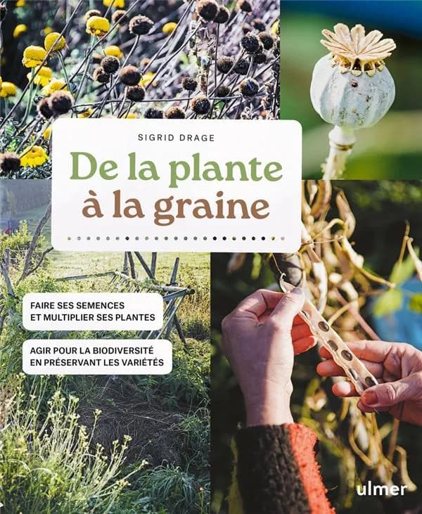 De la plante à la graine : faire ses graines et multiplier ses plantes, agir pour la biodiversité en préservant les variétés