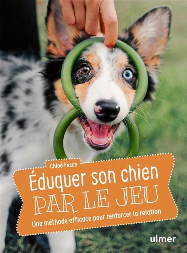 Éduquer son chien par le jeu : une méthode efficace pour renforcer la relation