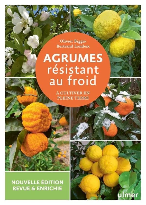 Agrumes, résistant au froid : à cultiver en pleine terre (Nouvelle éd. revue) Olivier Biggio, Bertrand Londeix