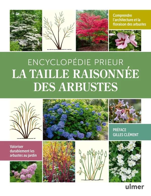 Encyclopédie Prieur : la taille raisonnée des arbustes
