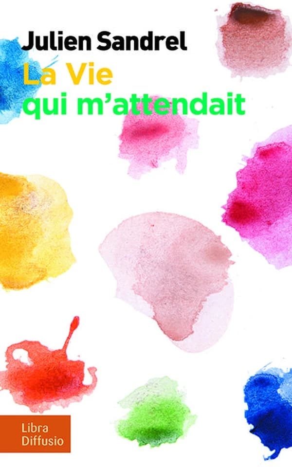 La vie qui m'attendait : roman ([Éd. en gros caractères]) Julien Sandrel