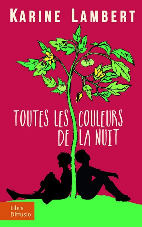 Toutes les couleurs de la nuit ([Éd. en gros caractères]) Karine Lambert