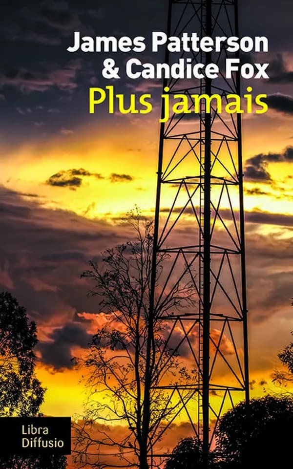 Plus jamais ([Éd. en gros caractères]) James Patterson et Candice Fox ; traduit de l'américain par Sébastien Danchin
