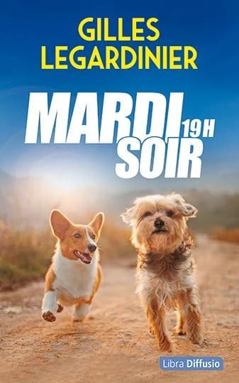 Mardi soir, 19h : roman ([Éd. en gros caractères]) Gilles Legardinier
