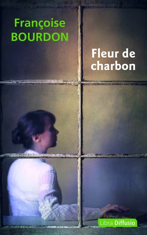 Fleur de charbon : roman