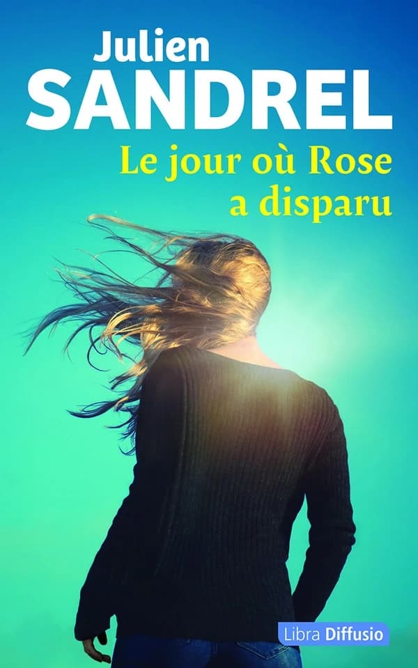 Le Jour où Rose a disparu : roman