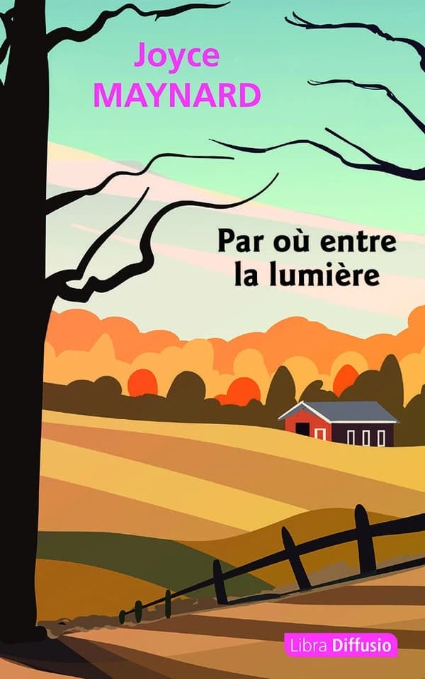 Par où entre la lumière : roman