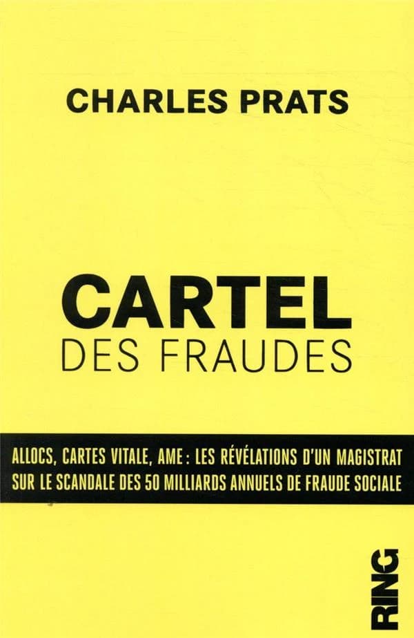 Cartel des fraudes : allocs, cartes Vitale, AME : les révélations d'un magistrat sur le scandale des 50 milliards annuel de fraude sociale