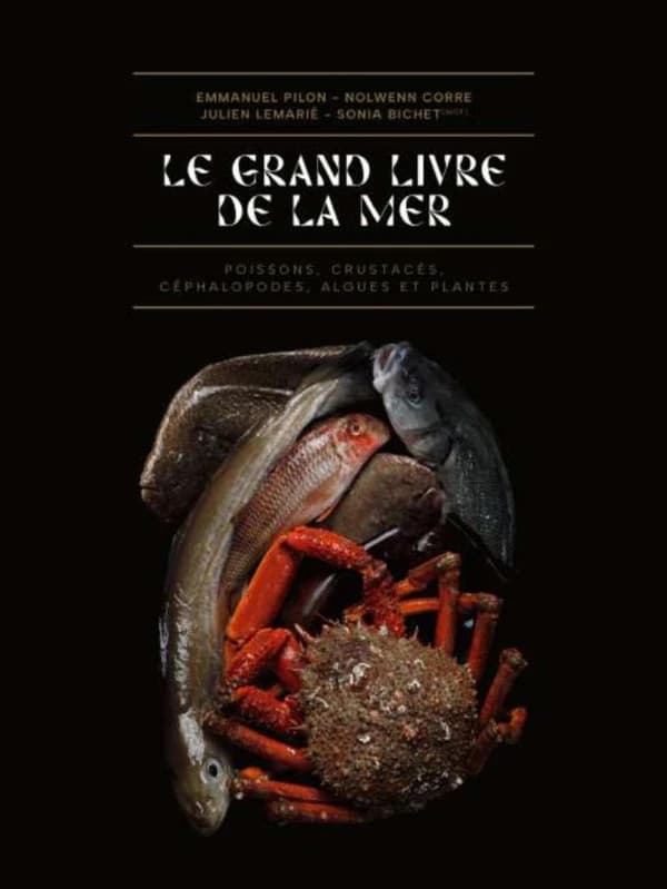 Le grand livre de la mer : poissons, crustacés, céphalopodes, algues et plantes