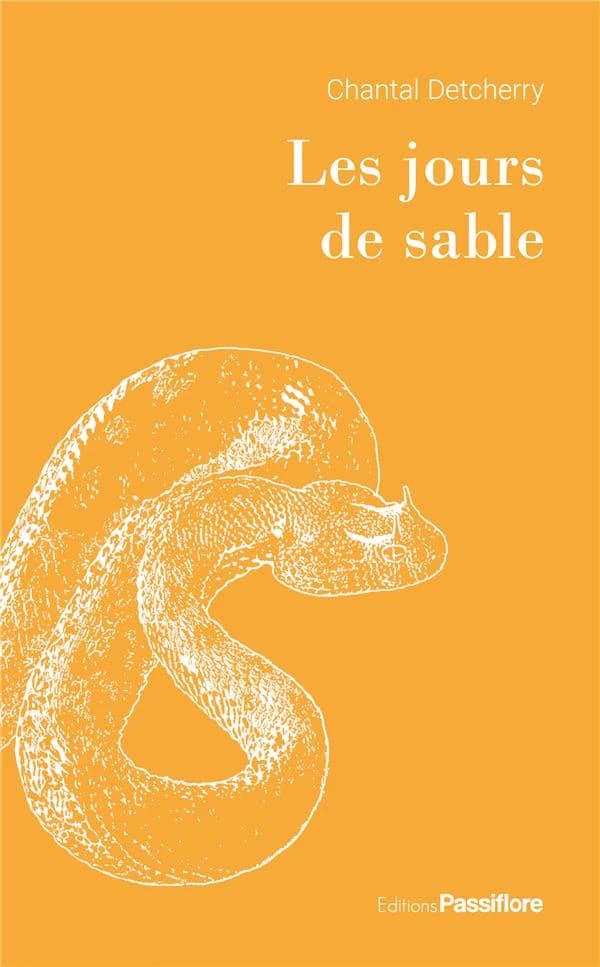 Les jours de sable : roman