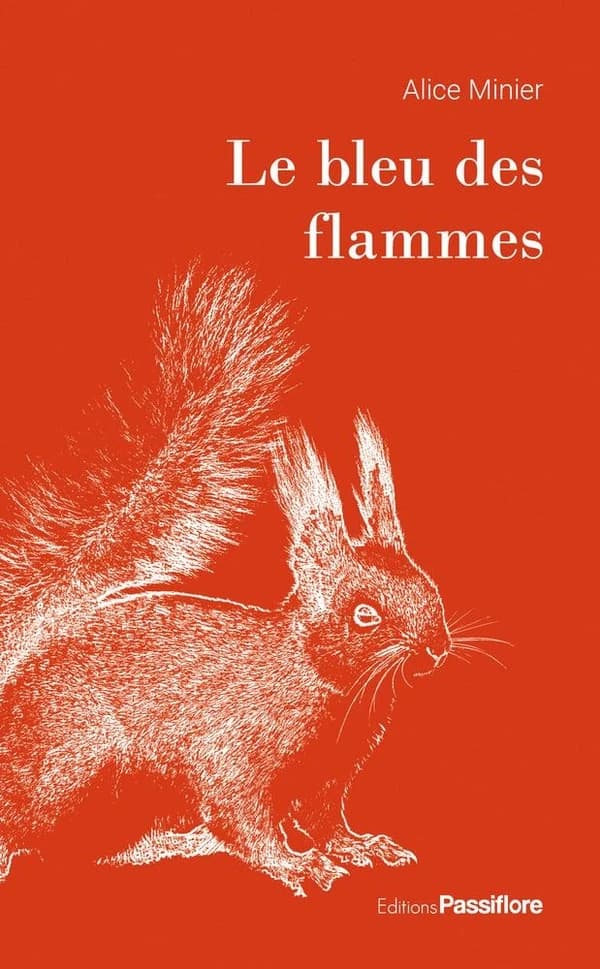 Le bleu des flammes : roman