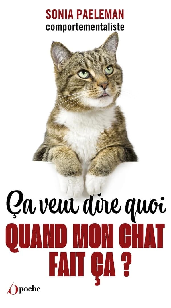 Ça veut dire quoi quand mon chat fait ça ? : livre quiz : 35 questions que vous vous posez sur votre chat et ses comportements