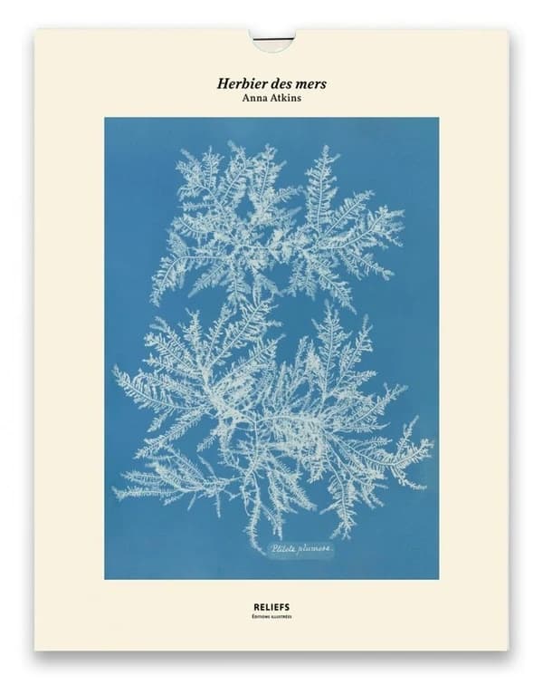 Herbier des mers : Édition illustrée : [Portfolio de reproductions]