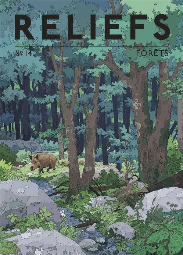 Reliefs n.14 : forêts