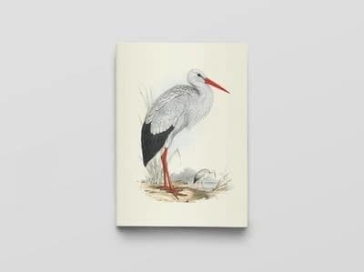 Oiseaux d'Europe : Carnet de notes