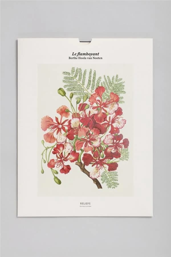 Le flamboyant : édition illustrée : [Portfolio de reproductions]