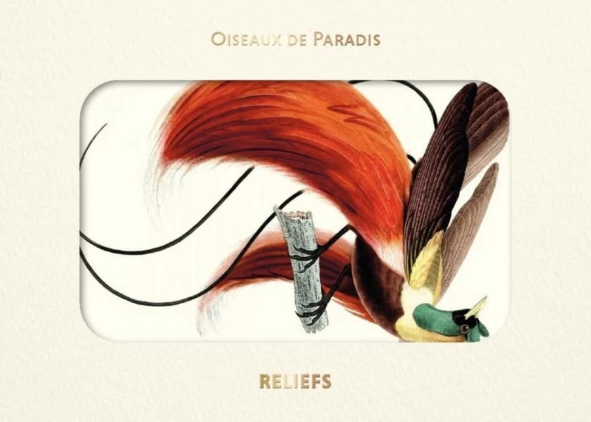 Livre d'images : oiseaux de paradis : [Carte postale]