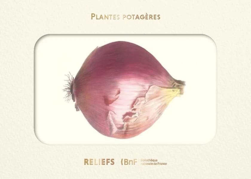 Plantes potagères : livre d'images : [Carte postale]