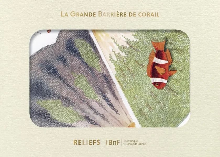 La Grande Barrière de corail : carte format postale : [Album ou portfolio de reproductions]