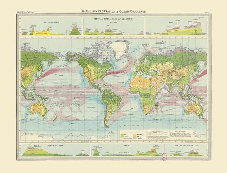 Carte - Le monde – Végétation et courants marins