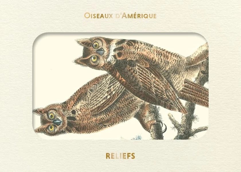 Livre d'images