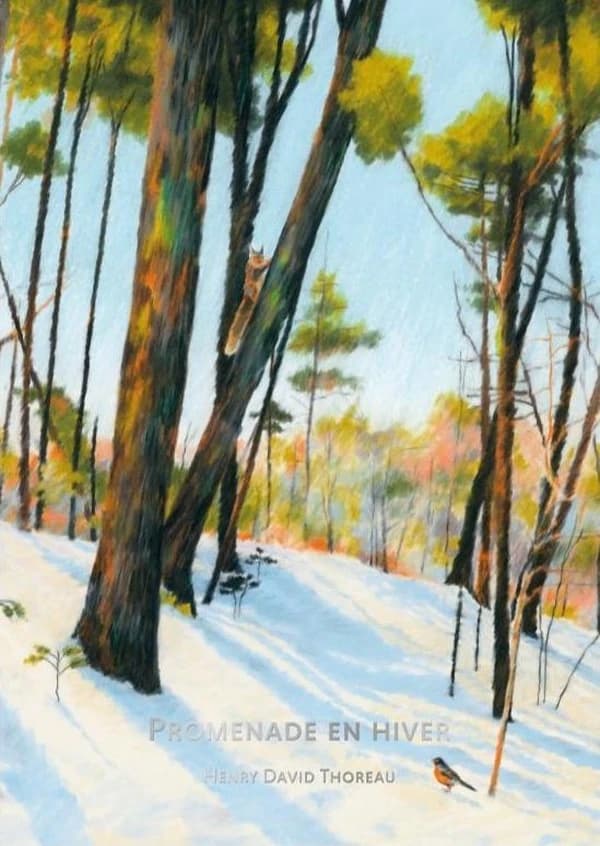 Promenade en hiver