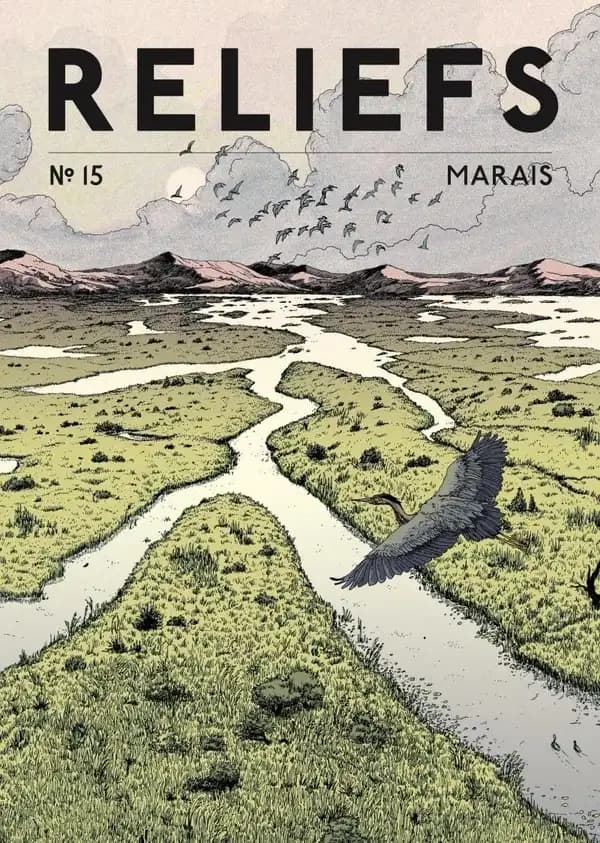 Reliefs n.15 : Marais