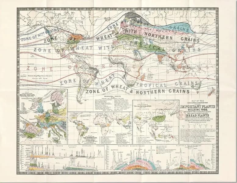 Carte : Carte des plantes alimentaires