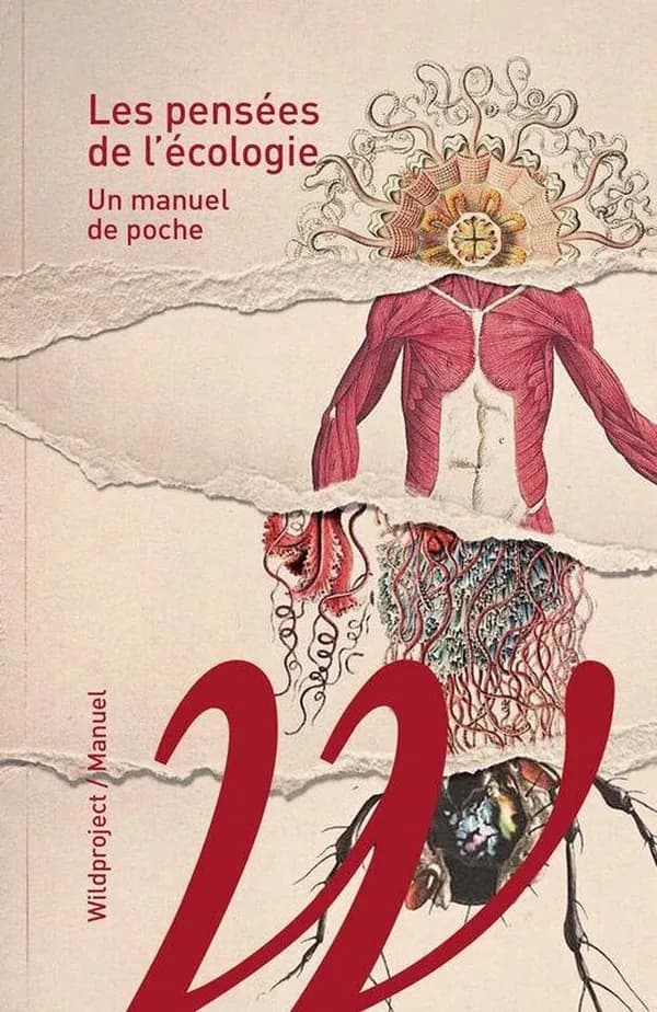 Les pensées de l'écologie : Un manuel de poche