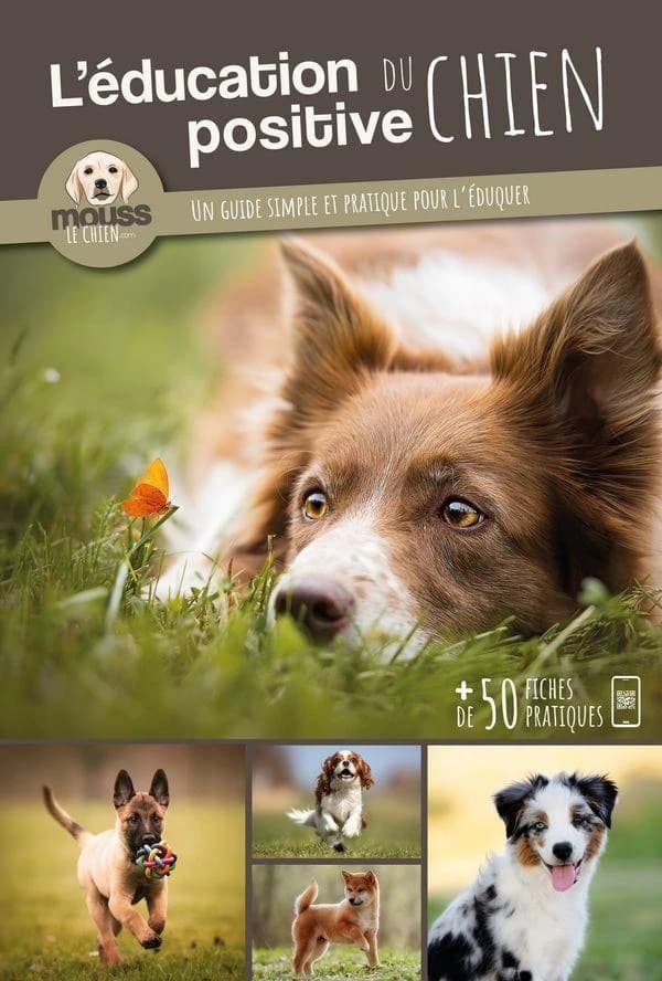L'éducation positive du chien : un guide simple et pratique pour l'éduquer