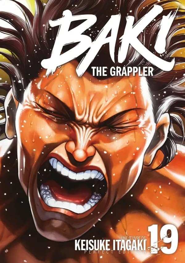 Baki the Grappler. 19 (Perfect édition)