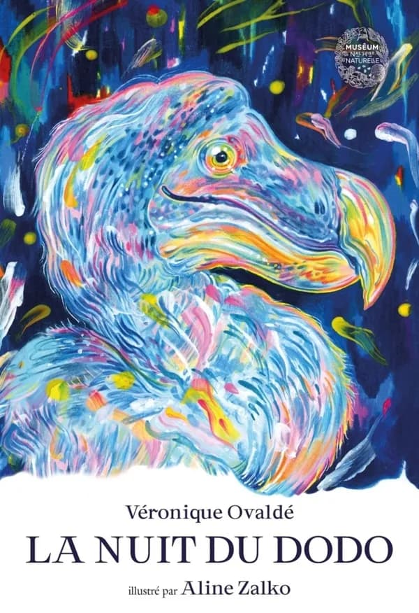 La nuit du dodo