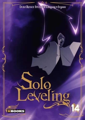 Solo leveling 14