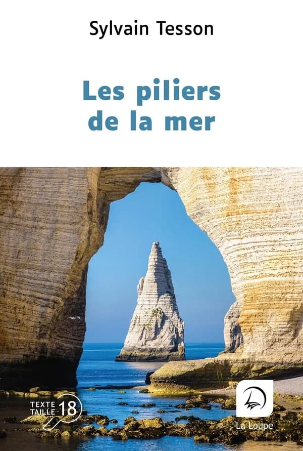 Les piliers de la mer ([Éd] en gros caractères) Sylvain Tesson