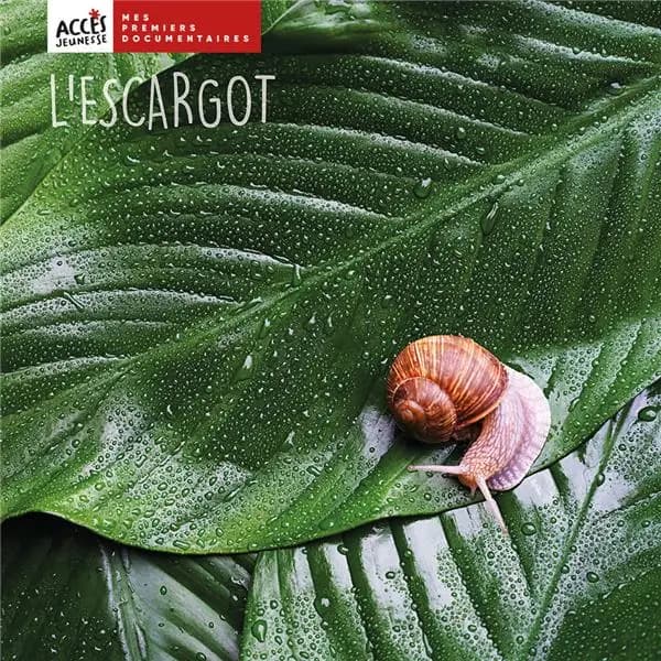 L'escargot (2e éd.) Léa Schneider