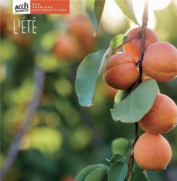 L'été