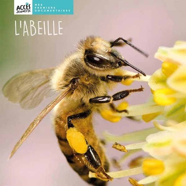L'abeille