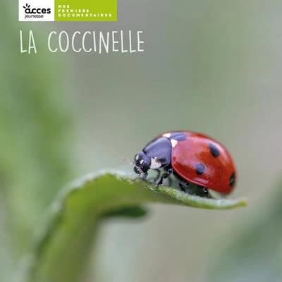 La coccinelle