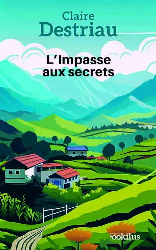 L'impasse aux secrets : roman ([Éd. en gros caractères]) Claire Destriau