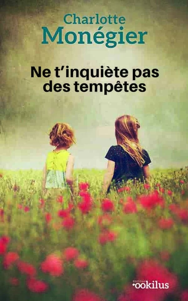 Ne t'inquiète pas des tempêtes : roman ([Éd. en gros caractères]) Charlotte Monégier
