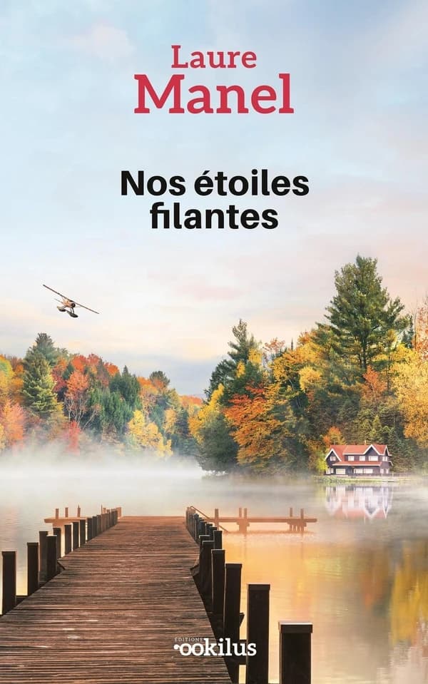 Nos étoiles filantes ([Éd. en gros caractères]) Laure Manel