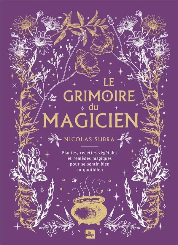 Le grimoire du magicien : plantes, recettes végétales et remèdes magiques pour se sentir bien au quotidien