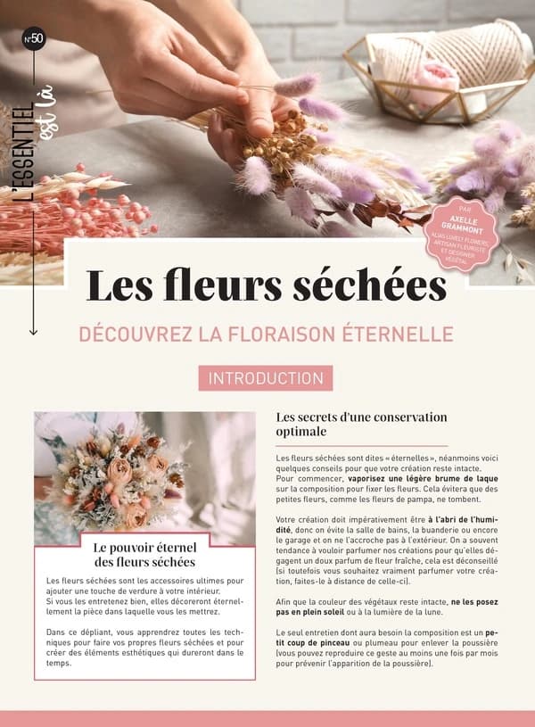 Les fleurs séchées : découvrez la floraison éternelle