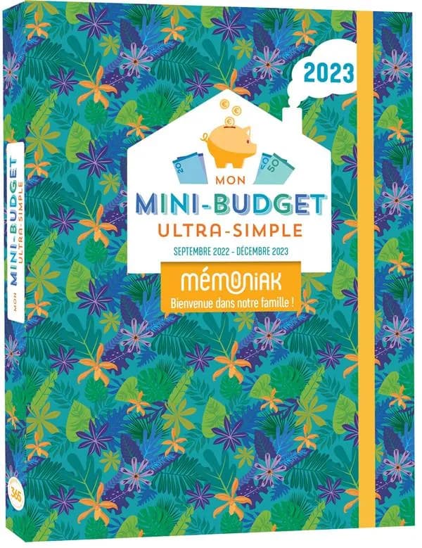 Mémoniak ; mon mini-budget ultra-simple : de septembre 2022 à décembre 2023