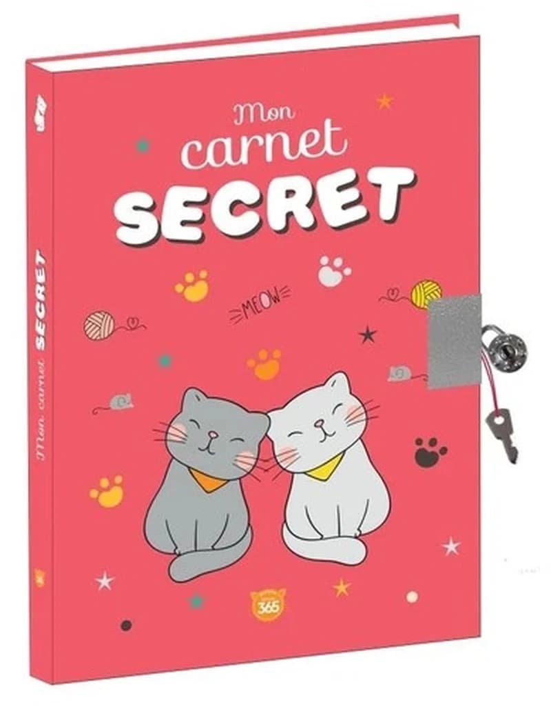 Mon carnet secret Chat