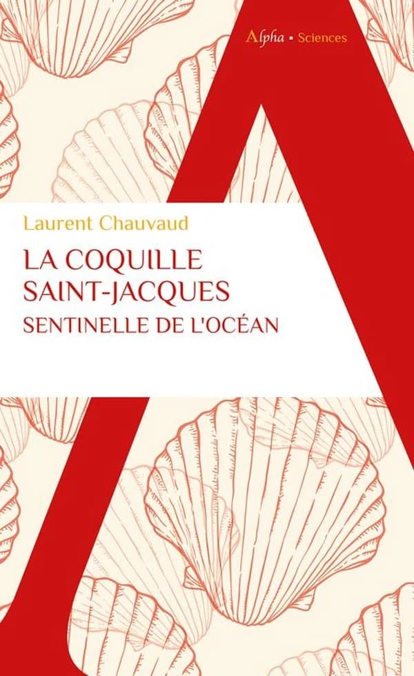 La coquille Saint-Jacques : sentinelle de l'océan
