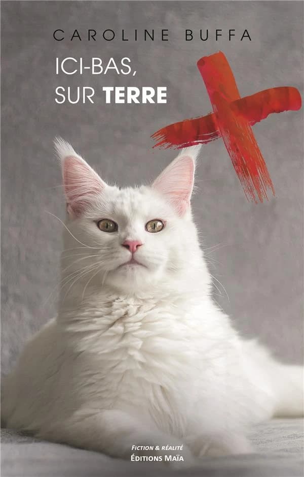 Ici-bas, sur terre
