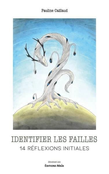 Identifier les failles : 14 réflexions initiales